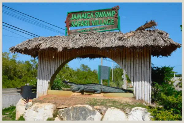 Jamaica swamp safari village
